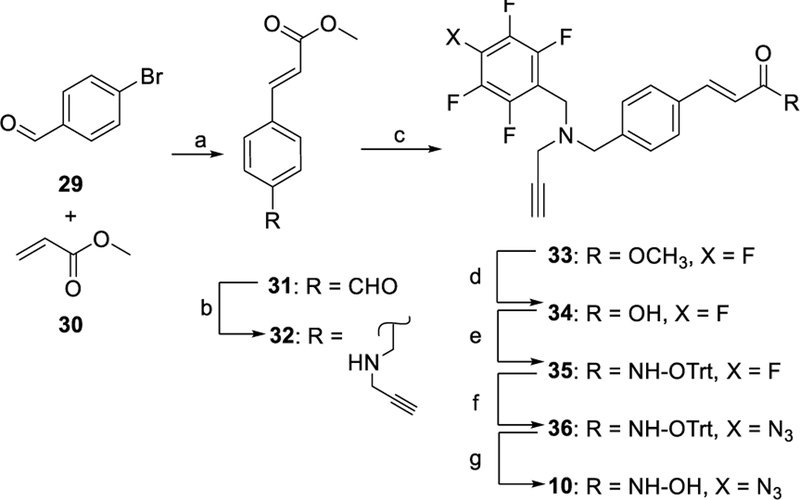 Scheme 3.