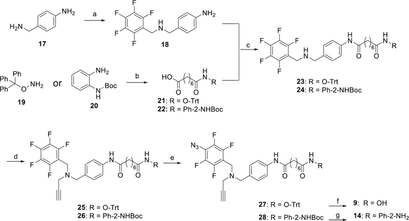 Scheme 2.