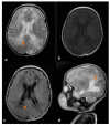 FIGURE 2: