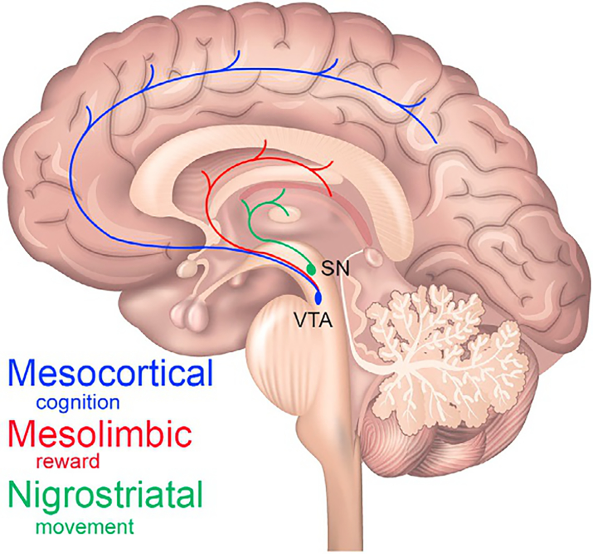 Fig. 9.1.