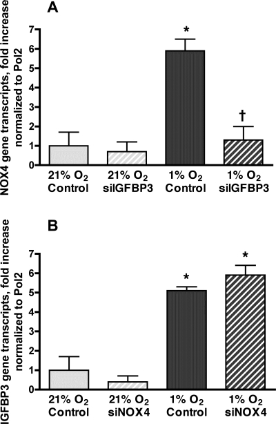 Fig. 9.