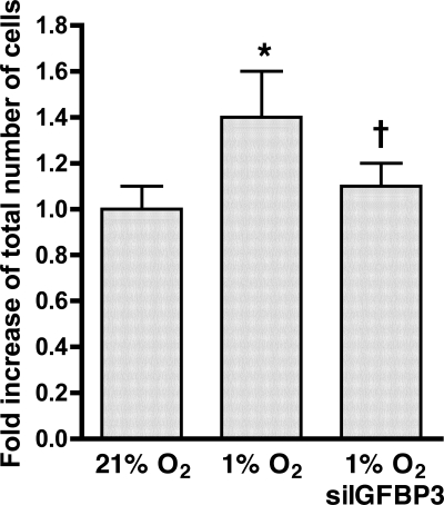 Fig. 10.