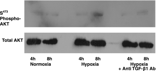 Fig. 13.