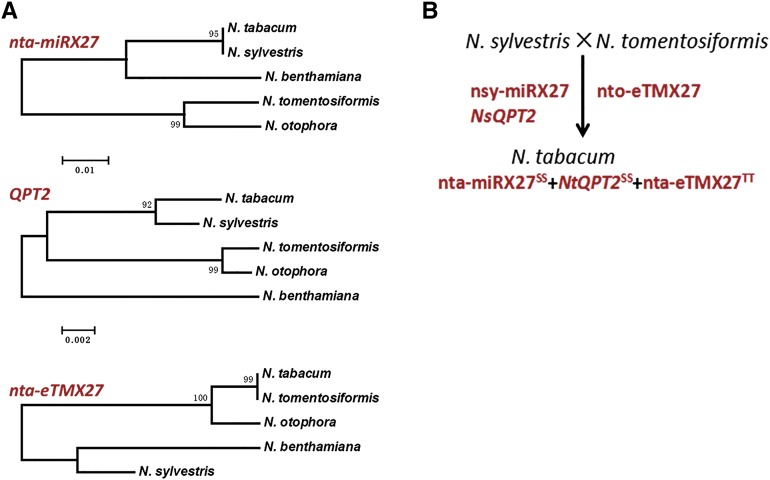 Figure 5.