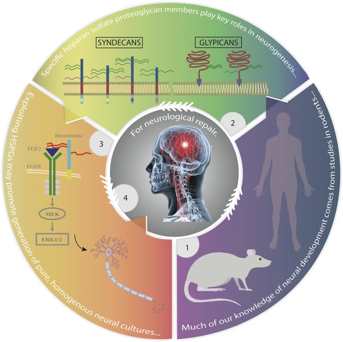 Graphical Abstract