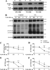 FIG 9