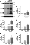 FIG 14