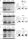FIG 6