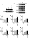 FIG 15