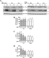 FIG 13