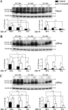FIG 4