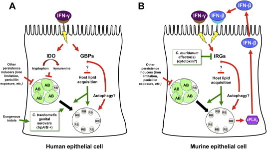 Fig. 3