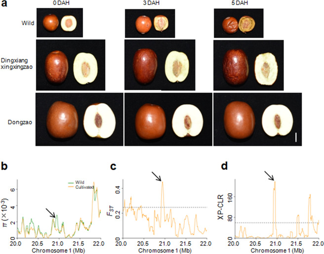 Fig. 6