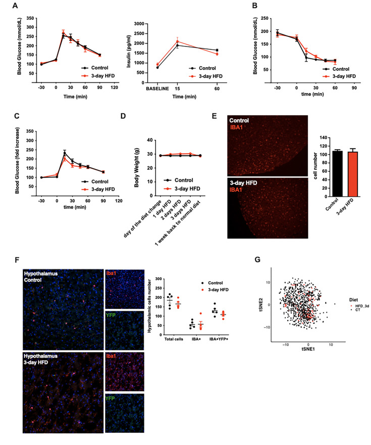 Figure 1—figure supplement 1.