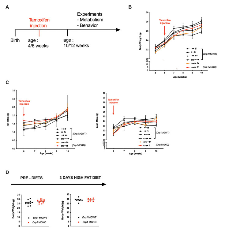 Figure 3—figure supplement 1.