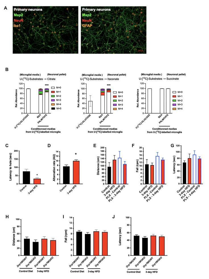 Figure 5—figure supplement 1.