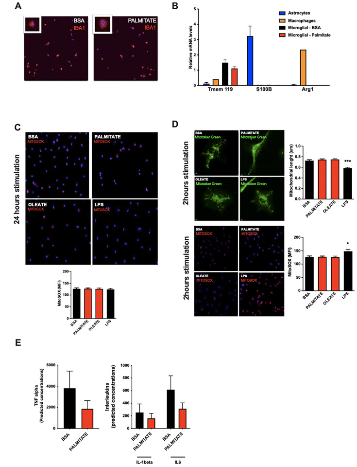 Figure 2—figure supplement 1.