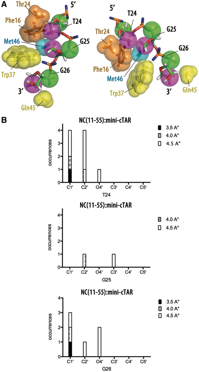 Figure 9.