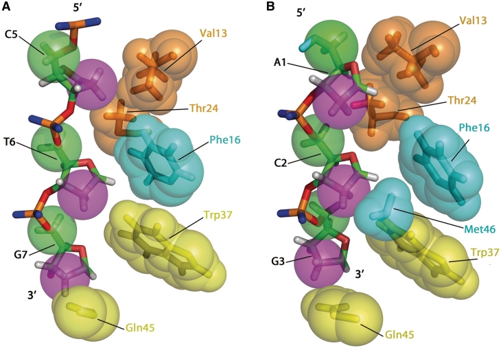 Figure 11.