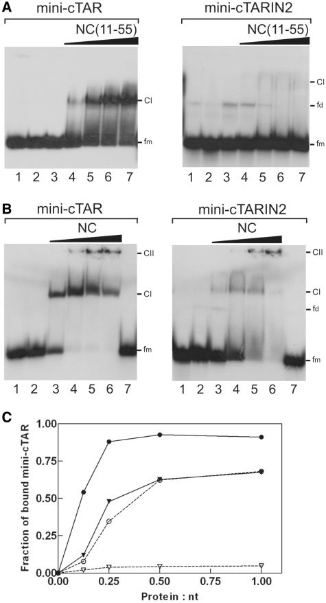 Figure 10.