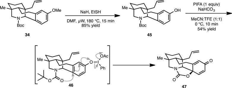 Scheme 10