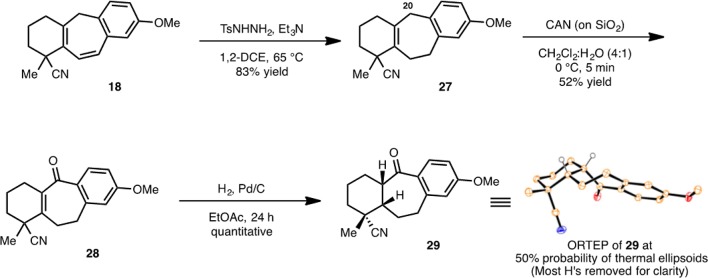 Scheme 4