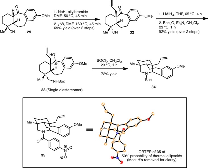 Scheme 6