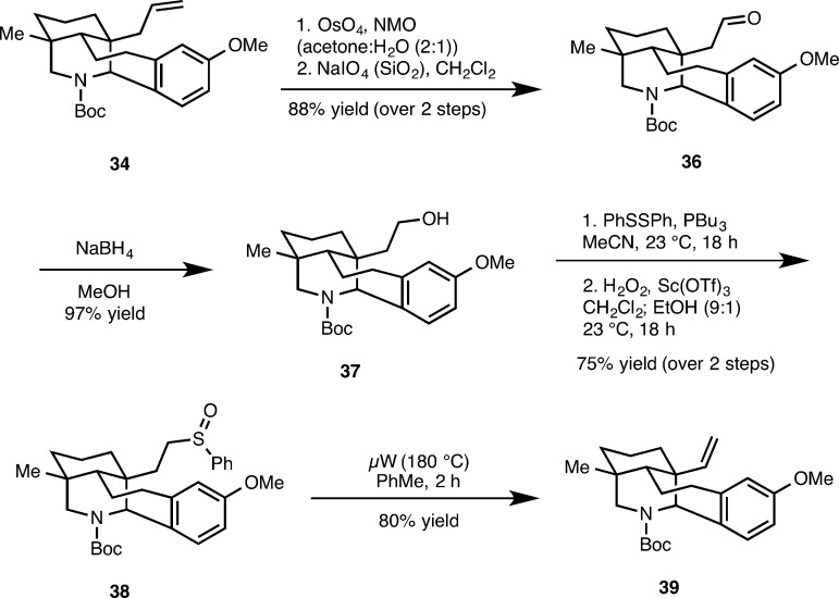 Scheme 7