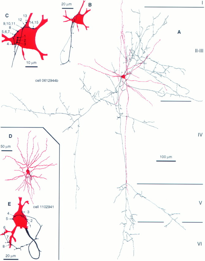 Fig. 1.