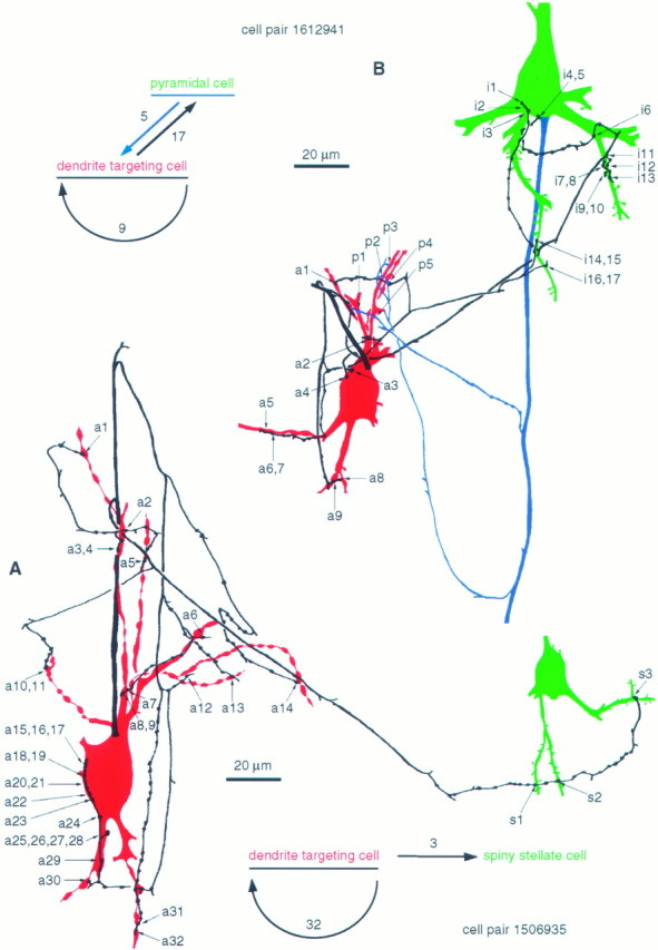 Fig. 5.