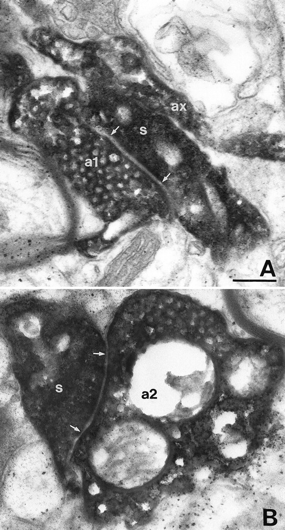 Fig. 8.