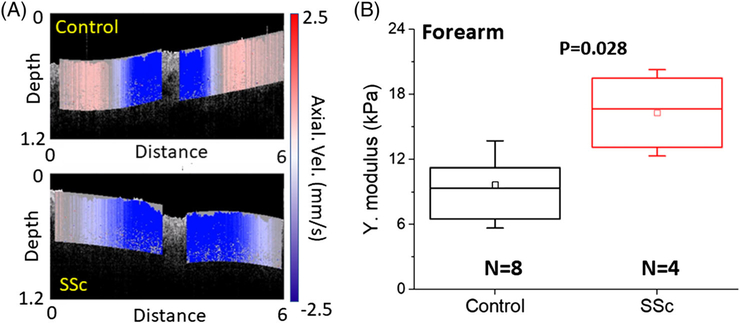 FIGURE 6