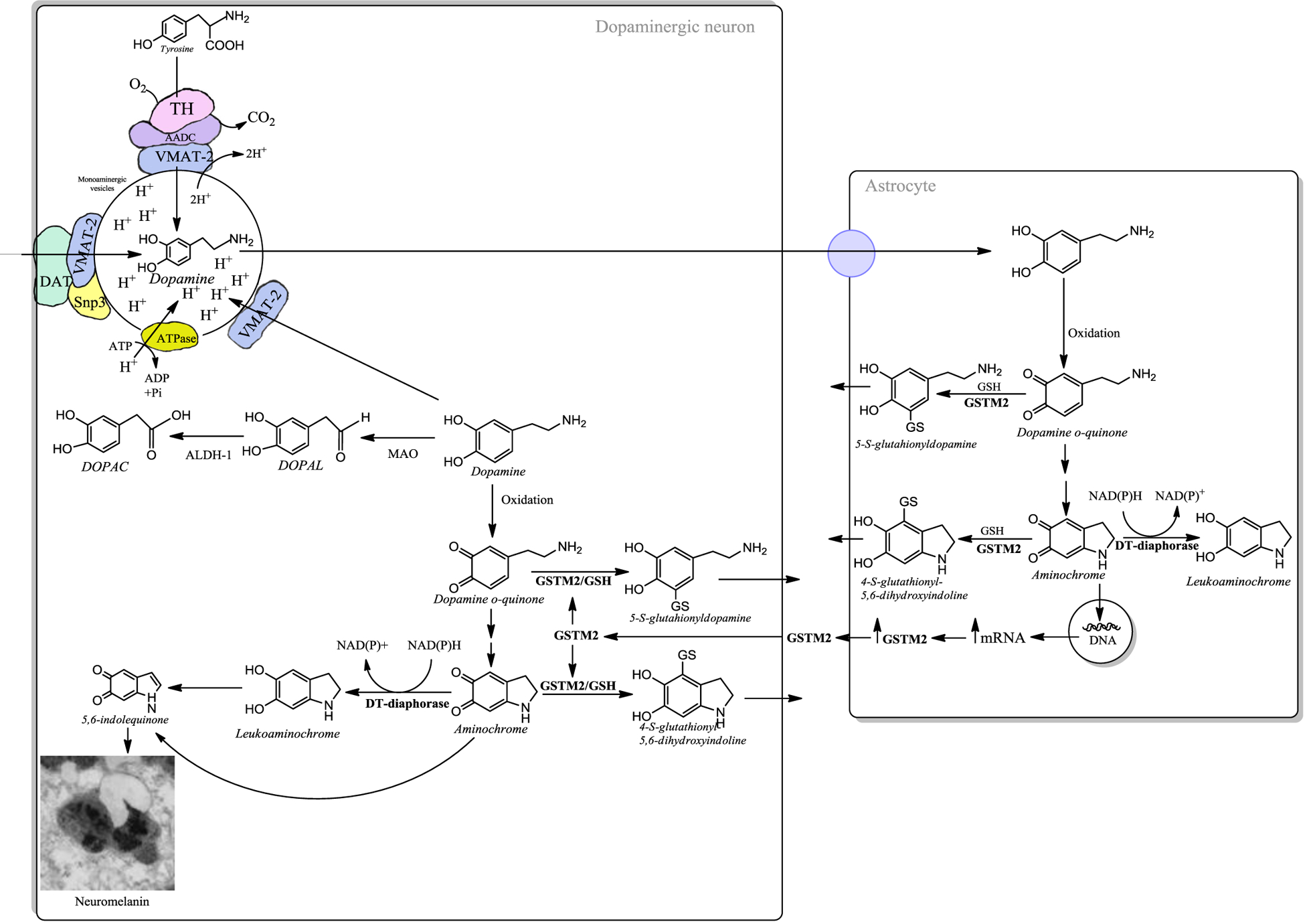 Figure 2: