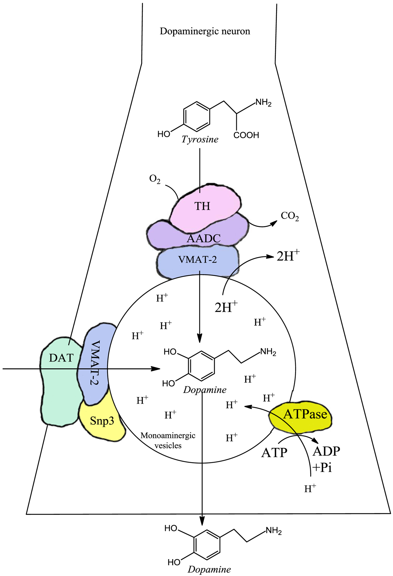 Figure 1: