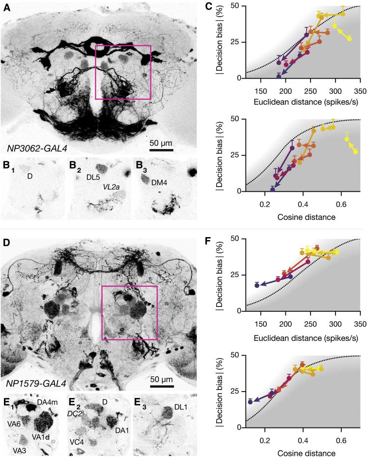 Figure 3