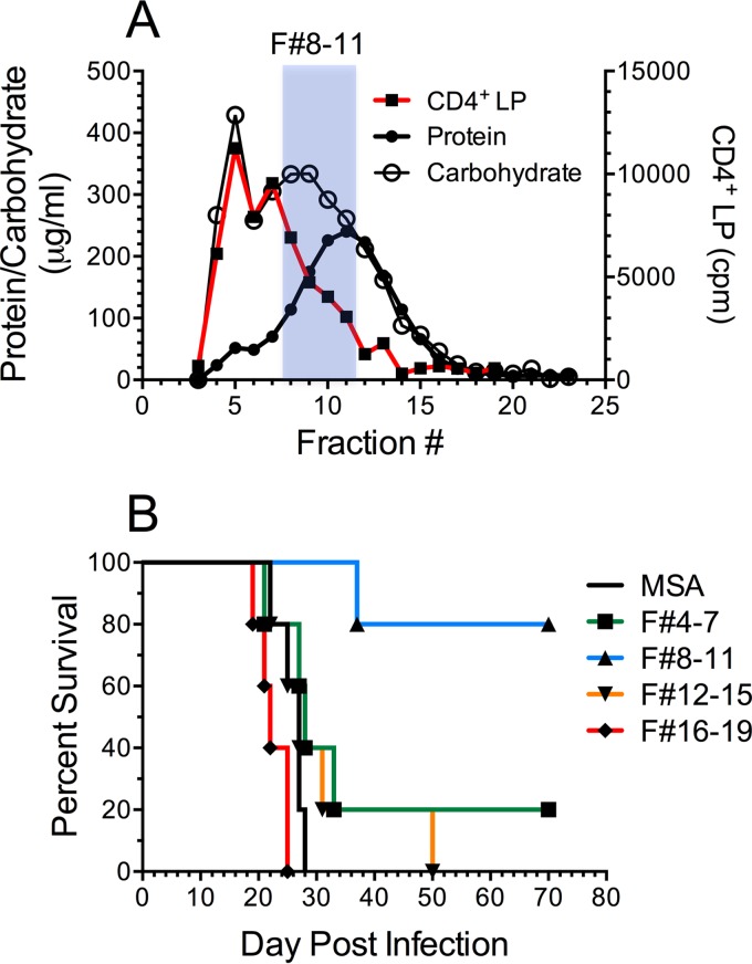 FIG 5 