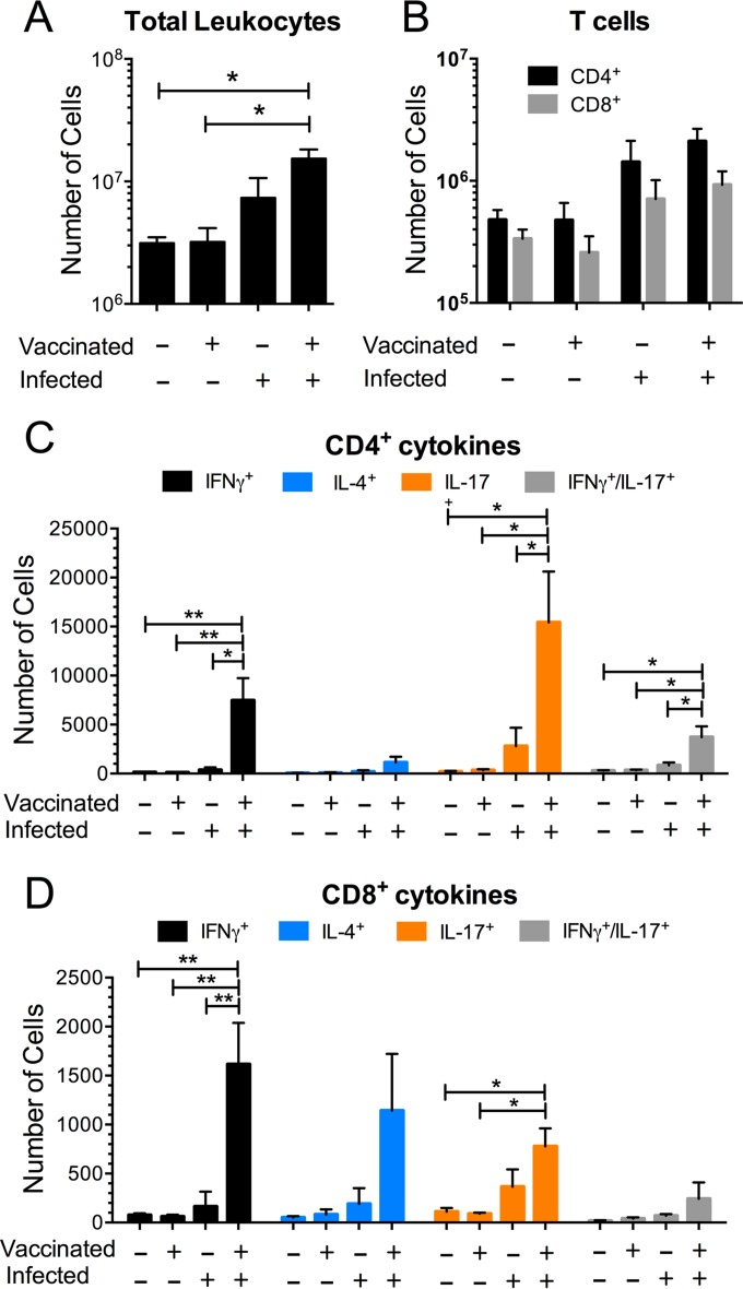 FIG 6 