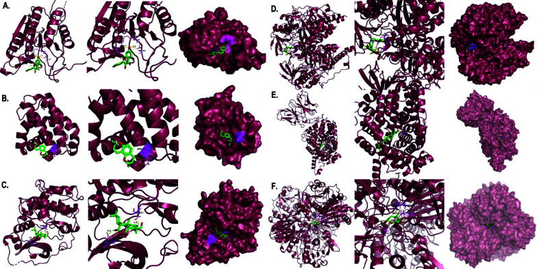 Fig. (11)