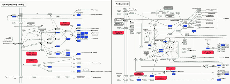 Fig. (9)