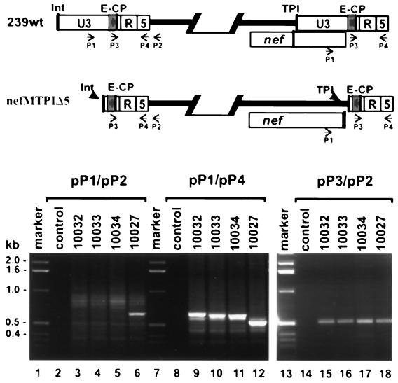 FIG. 10