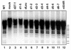 FIG. 5.
