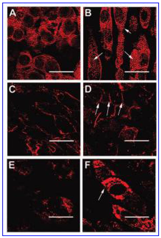 FIG. 7