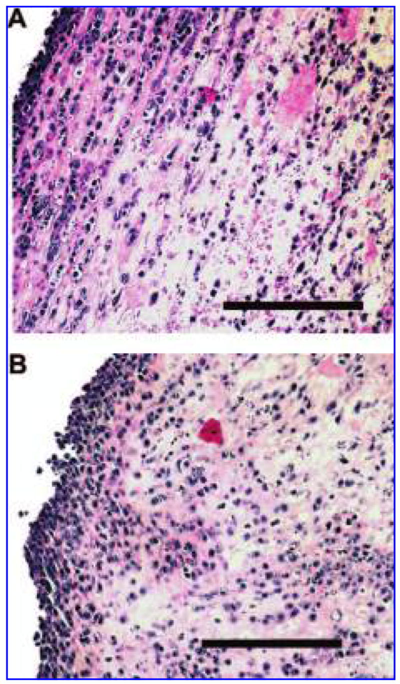 FIG. 6