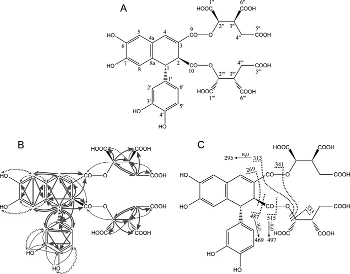 FIGURE 3.