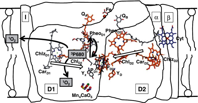 Fig. 2