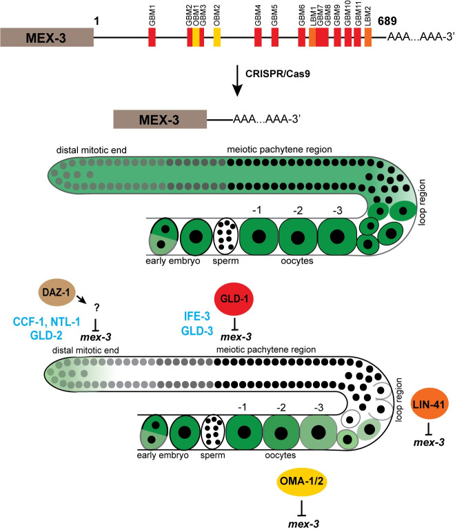 Fig 9