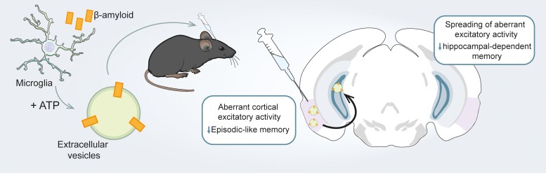 Graphical Abstract