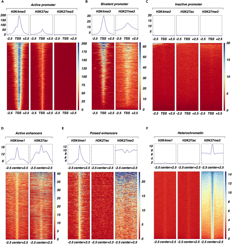 Figure 2