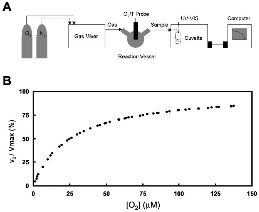 FIG. 6