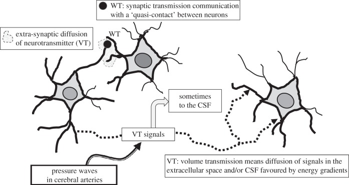 Figure 1.